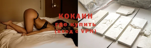 сатива Сосновоборск