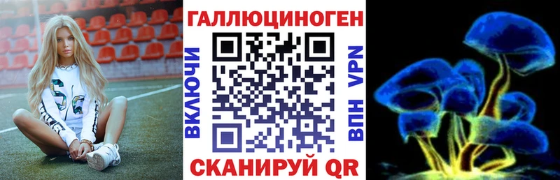 Галлюциногенные грибы Psilocybine cubensis  купить  цена  Среднеуральск 